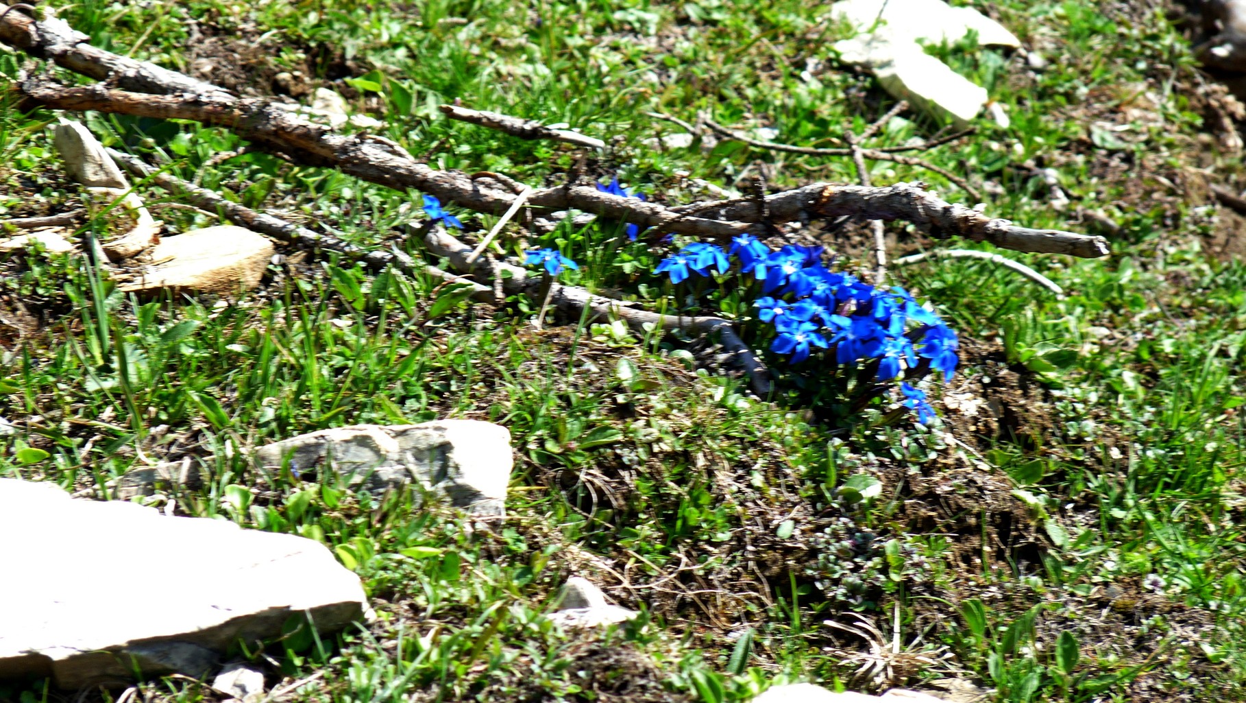 schon gleich am Anfang blau 