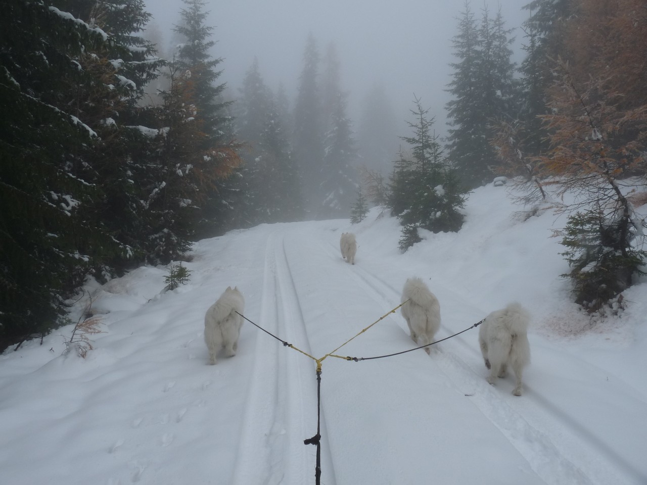den Schnee haben wir ja schon gefunden