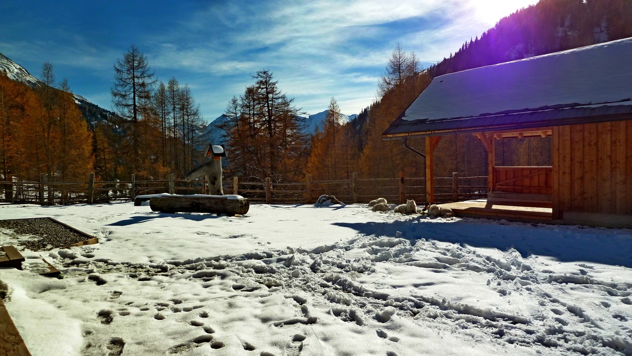 gemütlich auf der Muhrer Alm