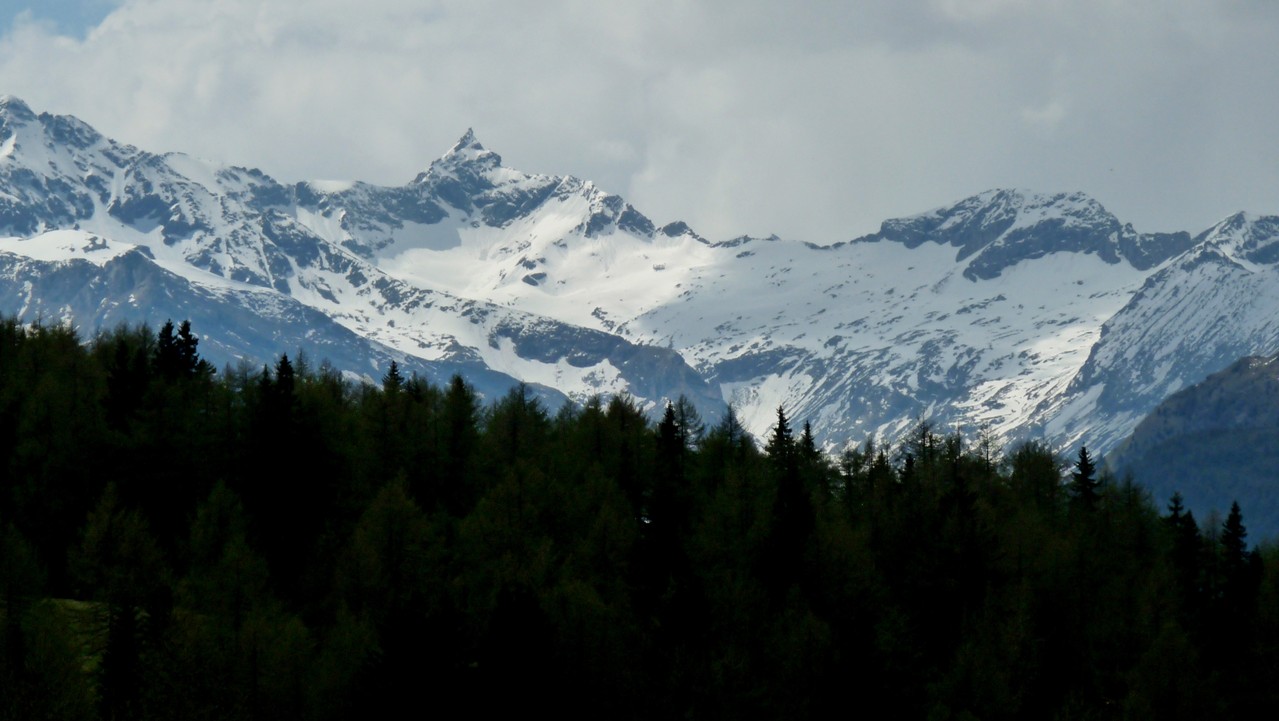noch ein Blick auf Hafner und Lanischkar